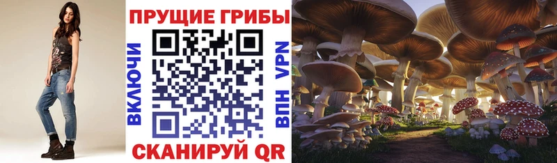Галлюциногенные грибы мицелий Ряжск